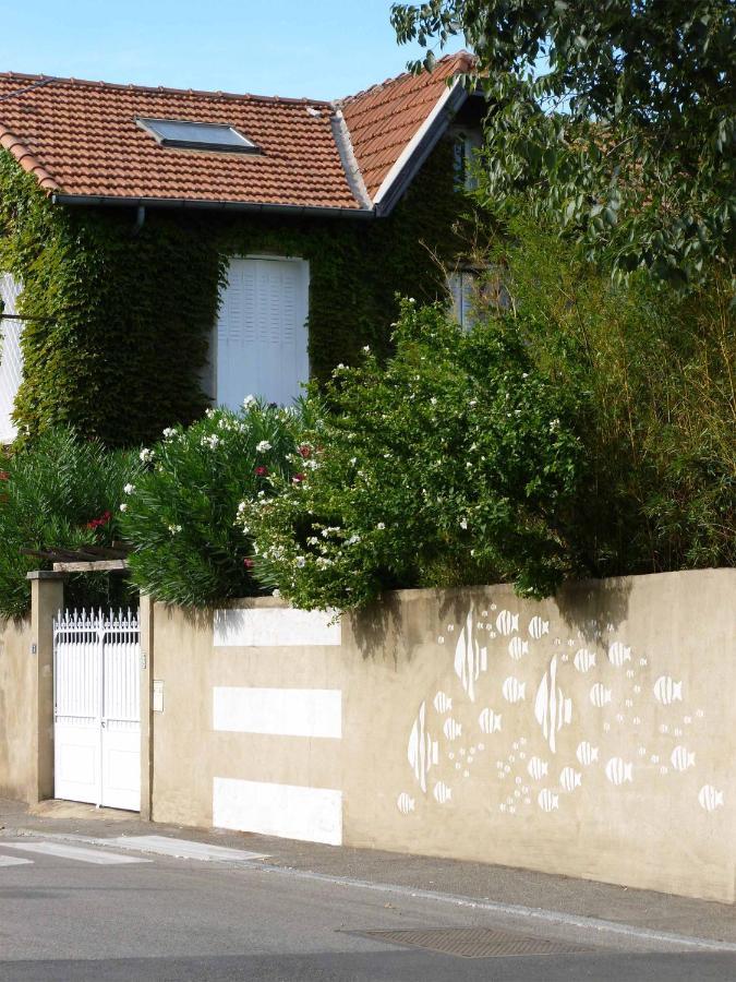 Les Petits Poissons Panzió Avignon Kültér fotó